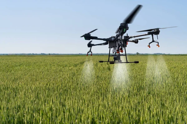 Landwirtschaftliche Drohnen Fliegen Über Das Maisfeld Smart Farming Und Präzisionslandwirtschaft — Stockfoto