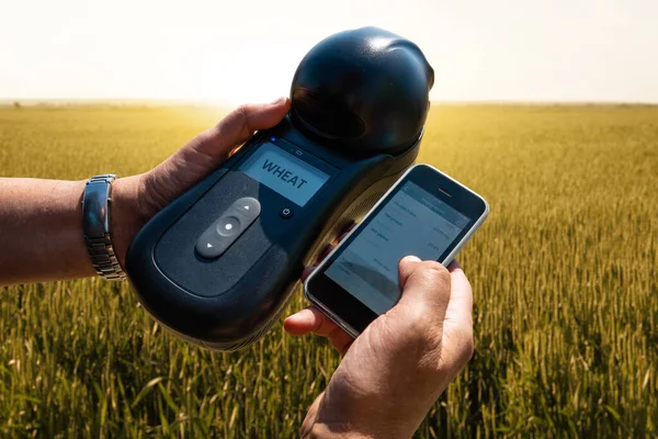 Mobile Device Measuring Parameters Grain Harvest Smart Farming Precision Agriculture — Stock Photo, Image