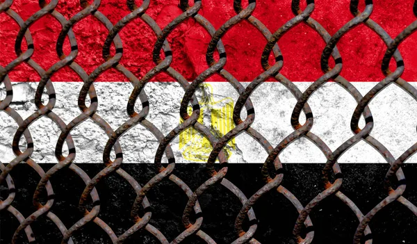 Immigration policy regarding migrants, illegal immigrants and refugees. Steel grid on the background of the flag of Egypt