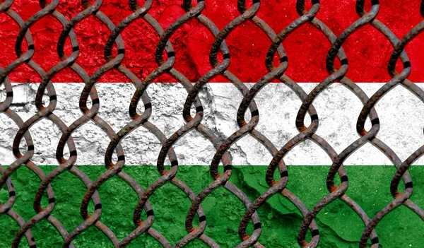 Immigration policy regarding migrants, illegal immigrants and refugees. Steel grid on the background of the flag of Hungary