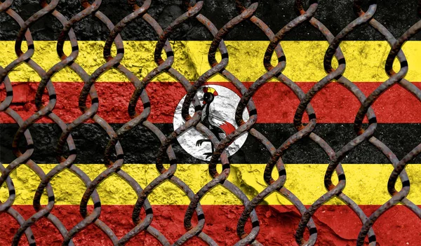 Immigration policy regarding migrants, illegal immigrants and refugees. Steel grid on the background of the flag of Uganda