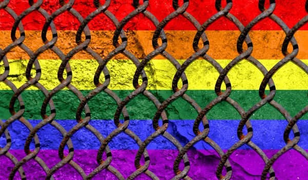 Immigration policy regarding migrants, illegal immigrants and refugees. Steel grid on the background of the flag of sexual minorities