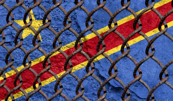 Immigration policy regarding migrants, illegal immigrants and refugees. Steel grid on the background of the flag of Congo Democratic