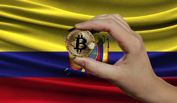 Hand of a man with a gold bitcone Cryptocurrency Digital bit of coins in a hand on a background of the flag of Ecuador. The concept of virtual money.