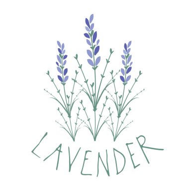 Lavanta çiçeği. Logo tasarımı. Metin elle çizilmiş.