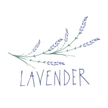 Lavanta çiçeği. Logo tasarımı. Metin elle çizilmiş.