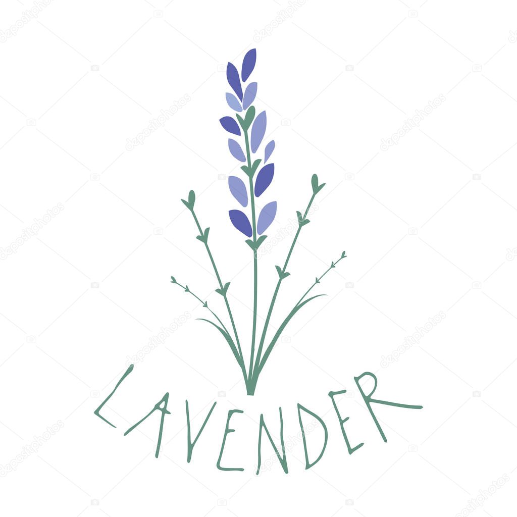 Lavender flower. Logo design. Text hand drawn.