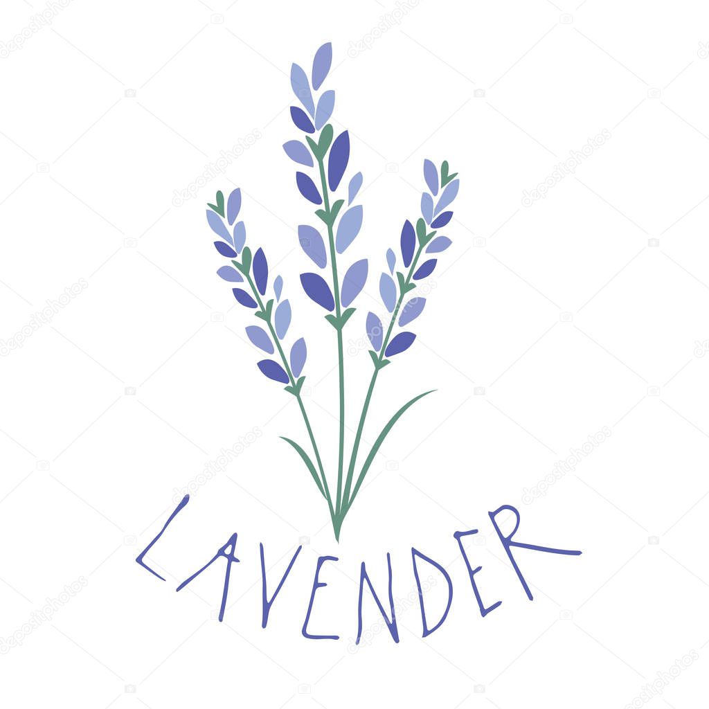 Lavender flower. Logo design. Text hand drawn.