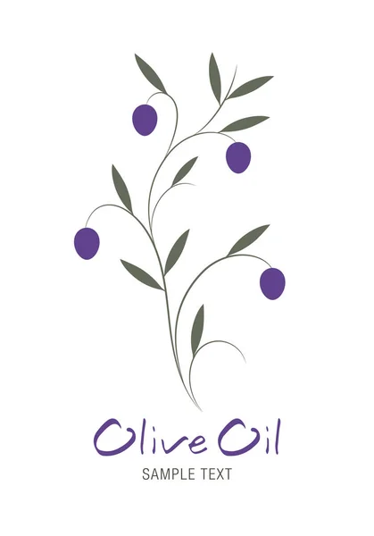 Olive Branch Szöveget Kézzel Rajzolt Elszigetelt Fehér Háttér — Stock Vector