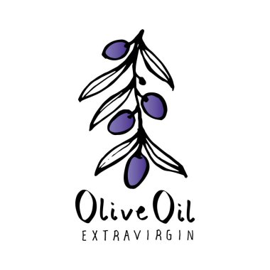 Zeytin dalı ile zeytin yaprağı el Beyaz arka plan üzerinde izole çizilmiş ve el yazısı metin