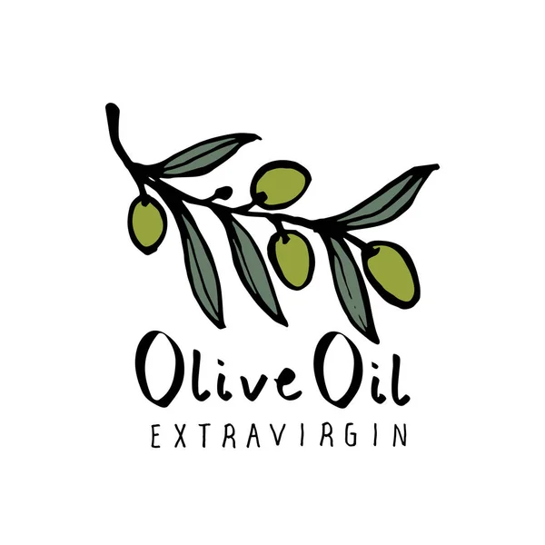 Olivenzweig Mit Handgezeichneten Olivenblättern Und Handgeschriebenem Text Isoliert Auf Weißem — Stockvektor