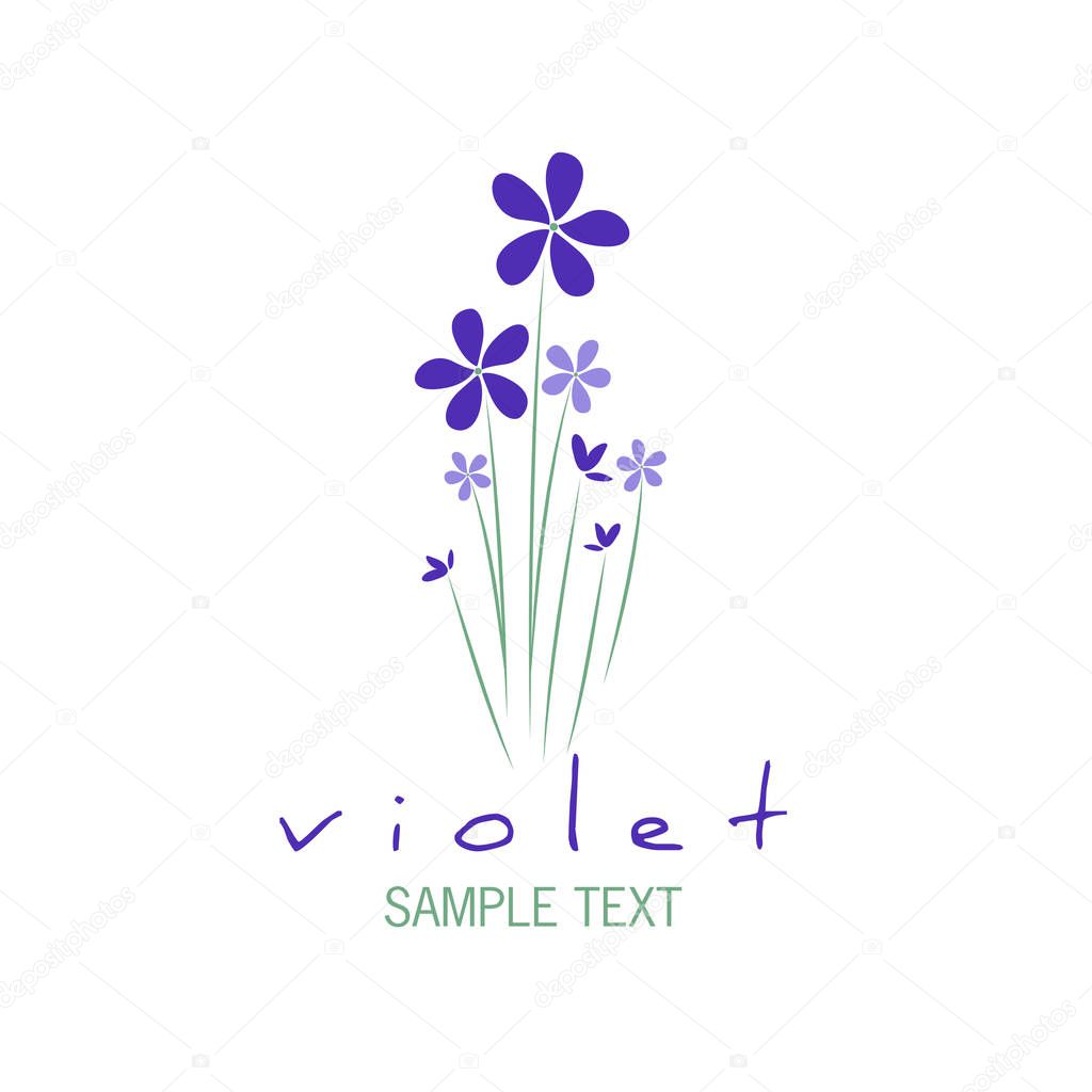 Bouquet of wild violets isolated on white background.