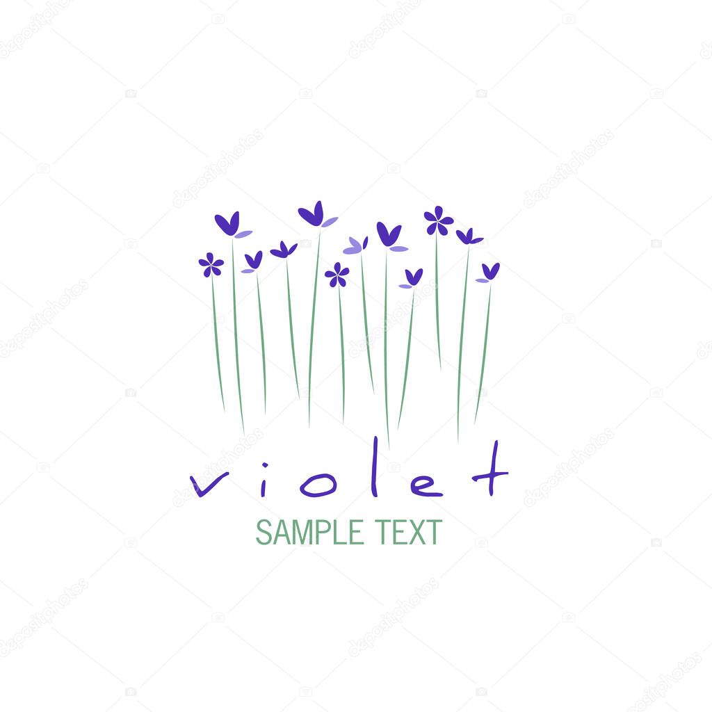 Bouquet of wild violets isolated on white background.