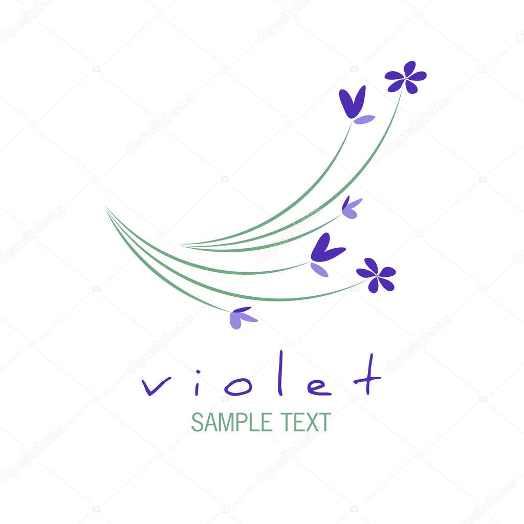 Bouquet of wild violets isolated on white background.