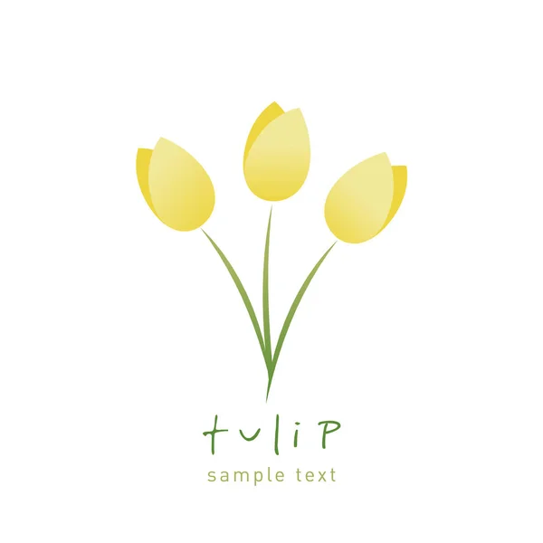 Flores Tulipán Simples Estilizadas Aisladas Sobre Fondo Blanco — Vector de stock