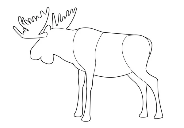 Orignal ou wapiti avec de grandes cornes isolées sur fond blanc — Image vectorielle
