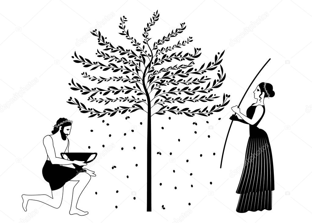 Woman raking an olive tree and man picking olives. Ancient Greece style