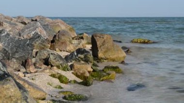 Taşlar ve denizin dalgaları