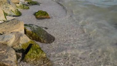 Taşlar ve denizin dalgaları