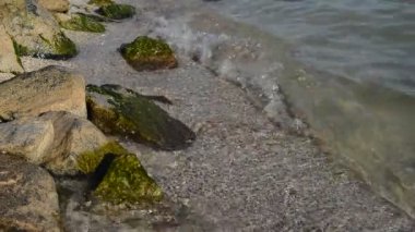 Taşlar ve denizin dalgaları