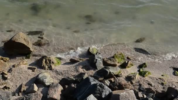 Pedras e ondas do mar — Vídeo de Stock