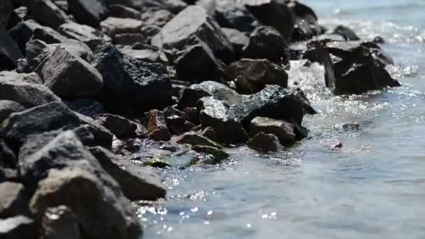 Stones and waves of sea — Stock Video