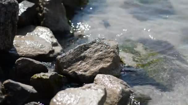 石头和海里的浪 — 图库视频影像