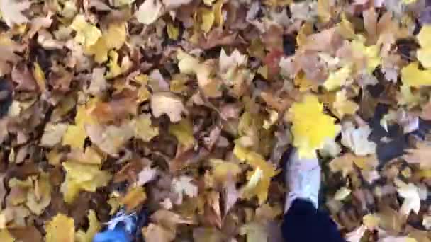 秋に落ちたもみじの葉の黄色の男性の足の上を歩いてします。男は、葉からカーペットに沿って行く. — ストック動画