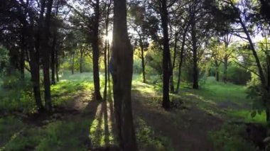 Adam Turizm güneşli sonbahar gününde, 4 k Sonbahar ormanda yürüyüş