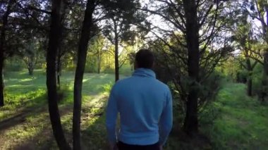 Adam Turizm güneşli sonbahar gününde, 4 k Sonbahar ormanda yürüyüş