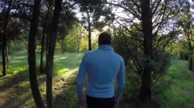 Adam Turizm güneşli sonbahar gününde, 4 k Sonbahar ormanda yürüyüş