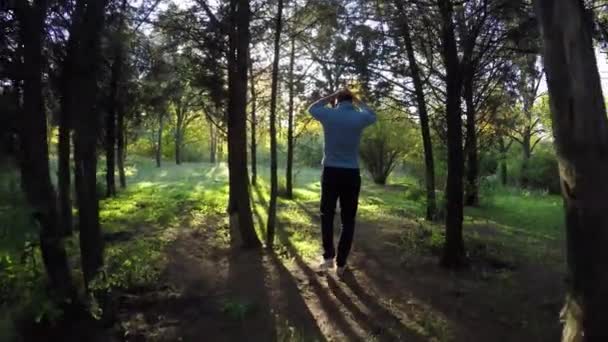 Uomo turista a piedi nella foresta autunnale nella soleggiata giornata autunnale, 4K — Video Stock