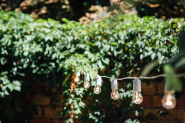 Açık parti ampul dekor. Parti