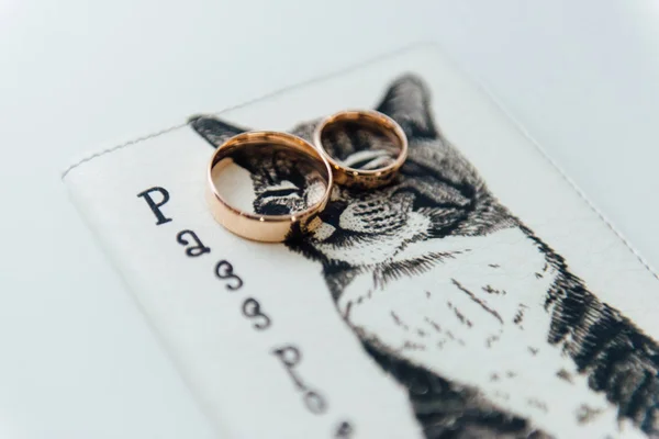 Ifjú jegygyűrű egy vicces útlevélben fedjük le egy macska — Stock Fotó