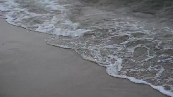 Coast of the Baltic Sea. Sea waves — Stock Video