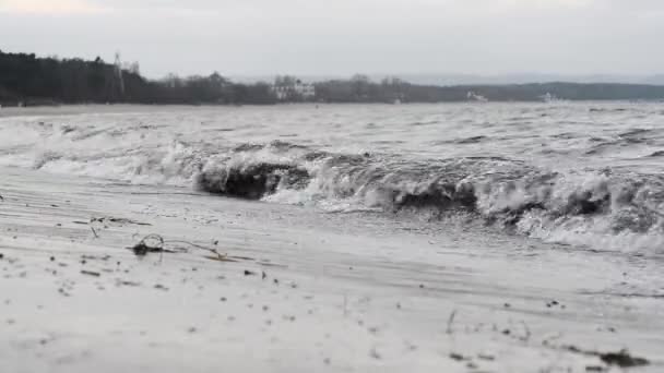 Kust van de Baltische Zee. Zee golven — Stockvideo