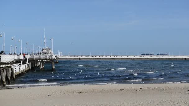 Muelle de madera en Sopot en primavera. Buen tiempo ventoso — Vídeos de Stock