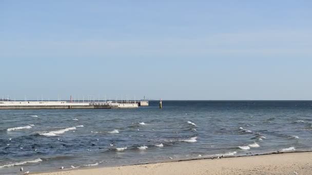 Houten pier in Sopot in het voorjaar. Goede winderig weer — Stockvideo