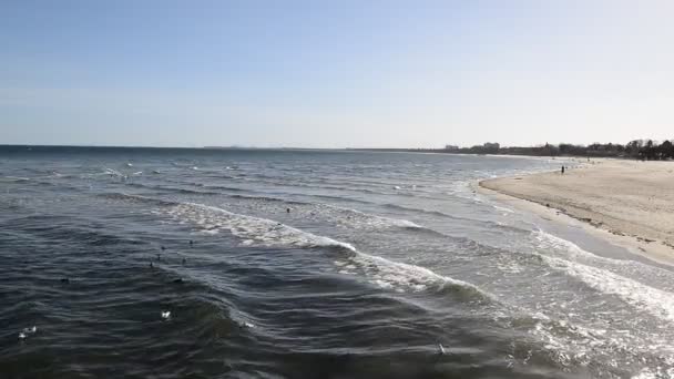 Kust van de Baltische Zee. Zee golven — Stockvideo