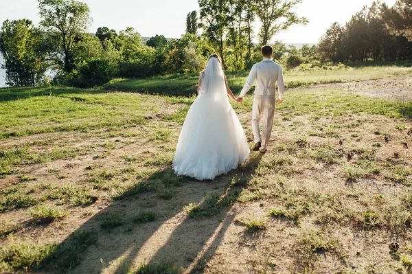 Liefhebbers loopt met Hold hands in bos — Stockfoto