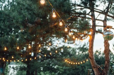 Açık havada partiampul dekor, Düğün