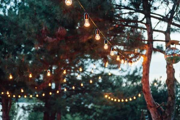 Decoração de lâmpada na festa ao ar livre, festa de casamento — Fotografia de Stock