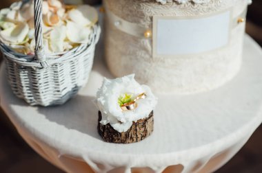 arka plan beyaz çiçek ile iki alyans