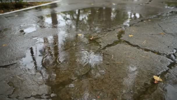 Close-up, grandes, fortes gotas de chuva, chuva, chuveiro, queda com salpicos de água , — Vídeo de Stock