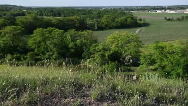 Vacker utsikt över bergen med bakgrundsbelyst solljus vid solnedgången. Vinden sveper gräset, nedanför är sjön — Stockvideo