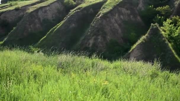 La hierba verde se mueve en el viento contra el telón de fondo de las altas montañas — Vídeos de Stock