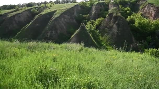 Zielona trawa porusza się na wietrze na tle wysokich gór — Wideo stockowe