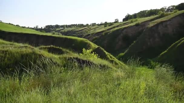 La hierba verde se mueve en el viento contra el telón de fondo de las altas montañas — Vídeos de Stock