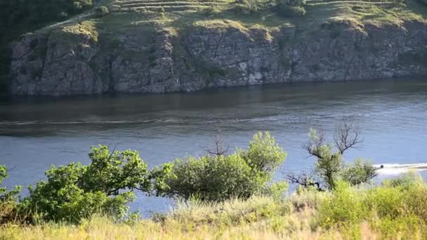 A speedboat moves on the river in sunset light. Beautiful nature around the river — Stock Video