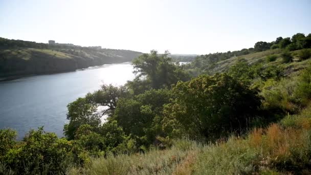 Beau paysage au coucher du soleil. Un vent léger balaie l'herbe et les arbres — Video